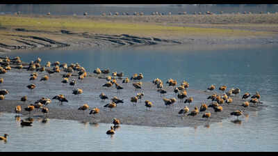 Doon man writes to PM, seeks probe into mining near state’s only Ramsar site