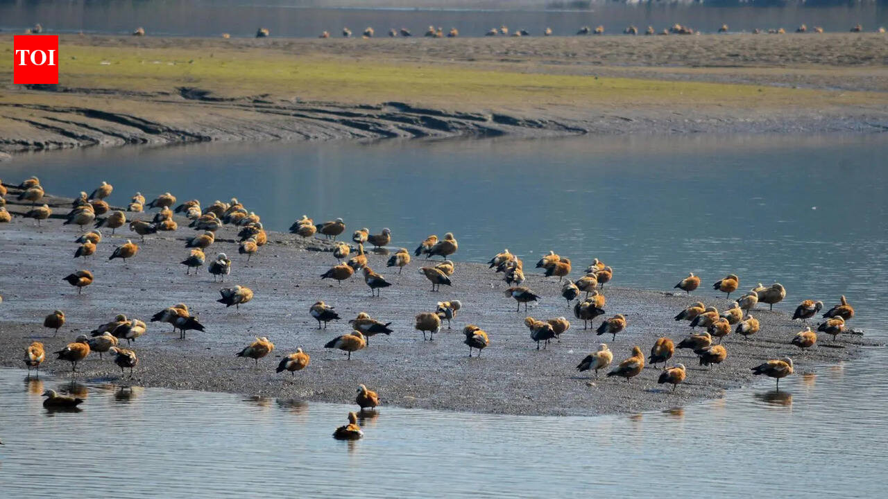 Doon man writes to PM, seeks probe into mining near state's only Ramsar site