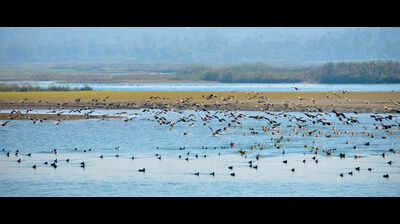 Doon man writes to PM, seeks probe into mining near state’s only Ramsar site