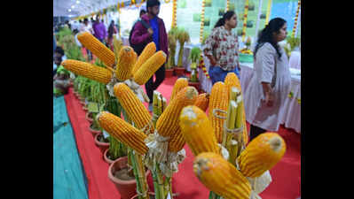 Krishi Mela on Oct 15-18 in Bengaluru