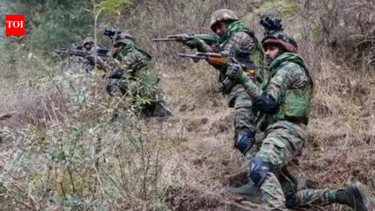 सेना के जवानों ने जम्मू-कश्मीर के पुंछ में नियंत्रण रेखा पर संदिग्ध पाक ड्रोन पर गोलीबारी की भारत समाचार