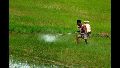 Tenant farmers pay up to Rs 60k an acre in Telangana