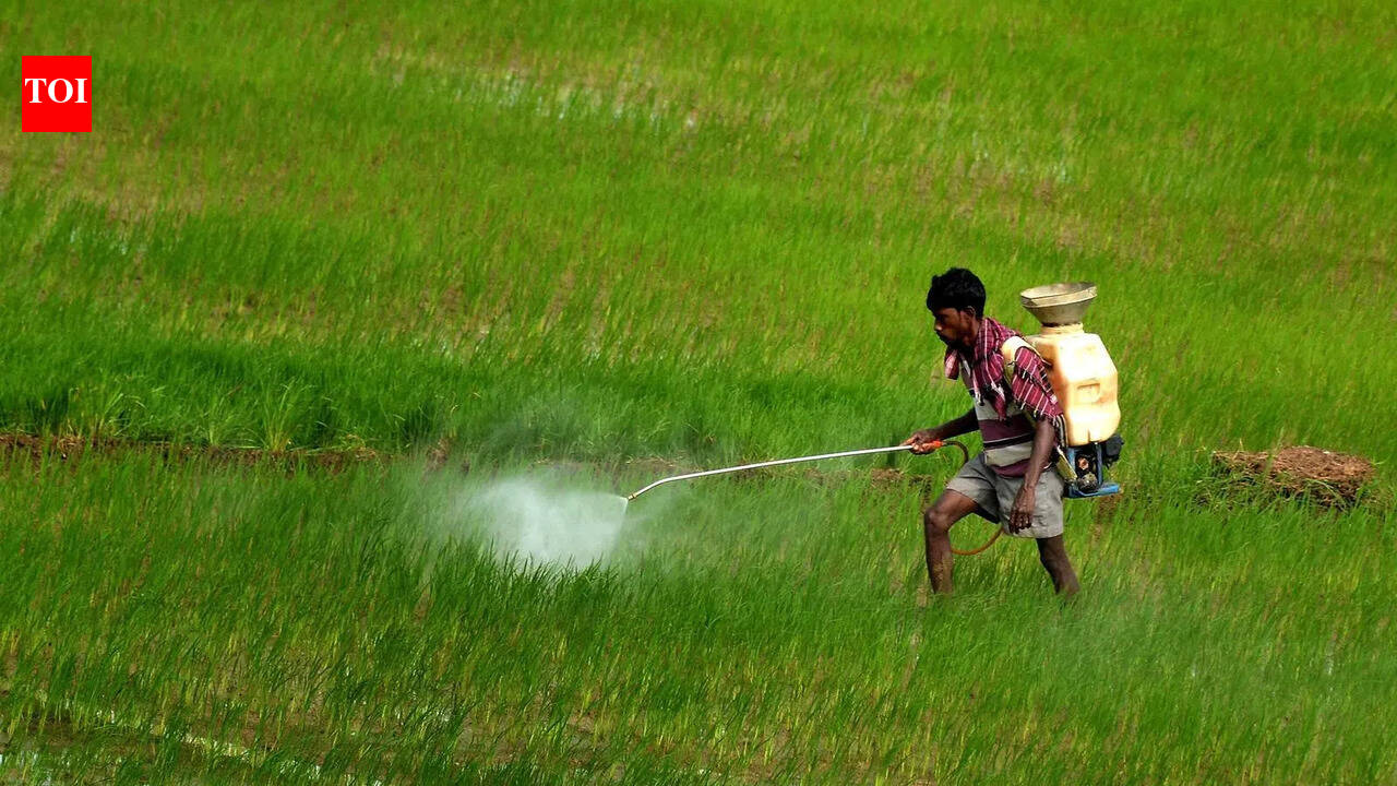 Tenant farmers in Telangana caught in OTP trap