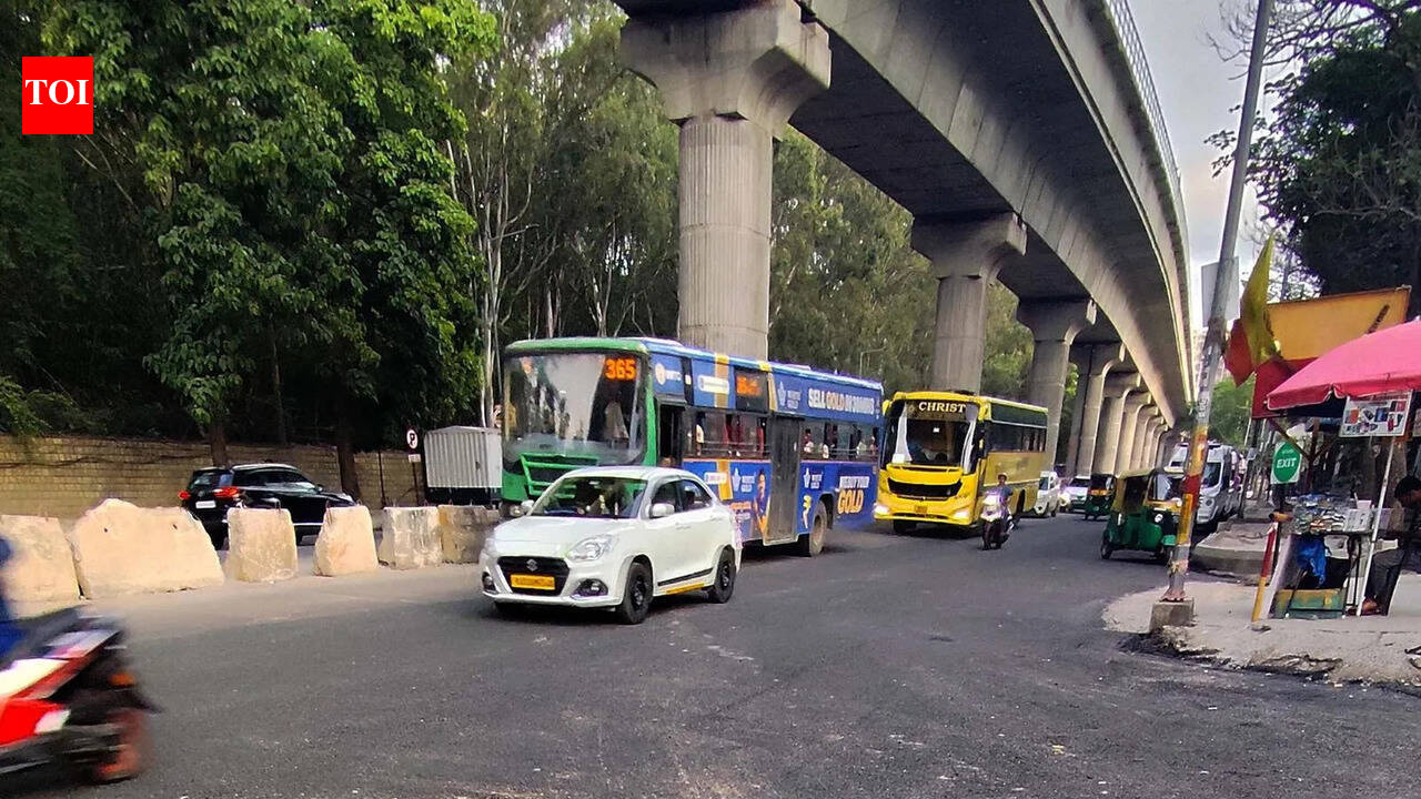 Quick fix? Bengaluru’s Bannerghatta dust storm may die down, but not for long