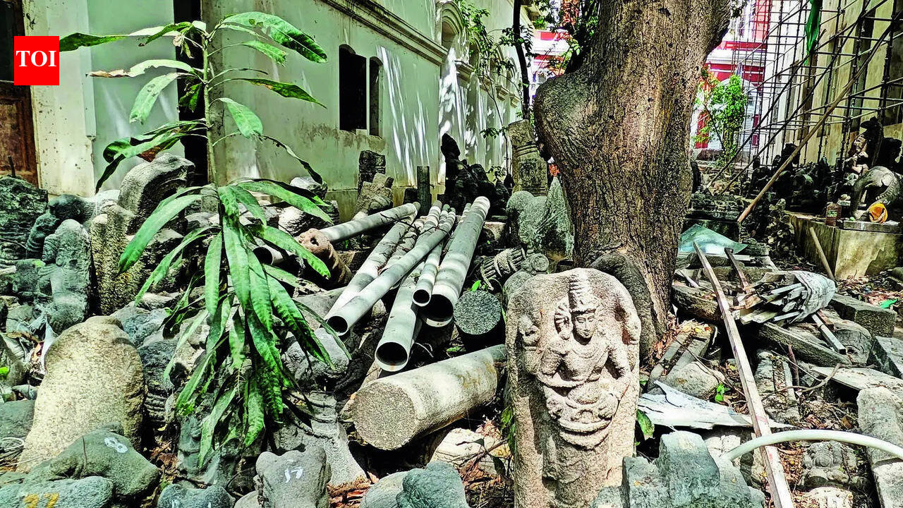 Egmore Museum a graveyard as officials turn a blind eye