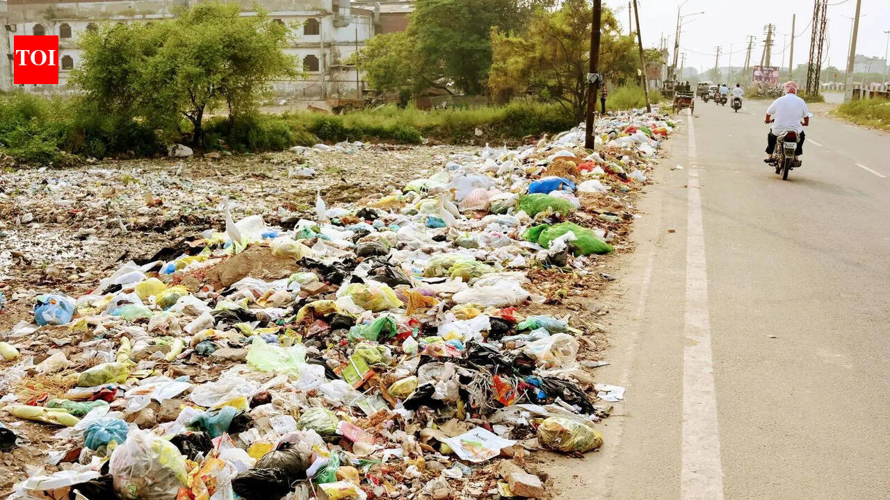 Ludhiana’s ₹1,400-cr garbage management plan extends its stay in the dump
