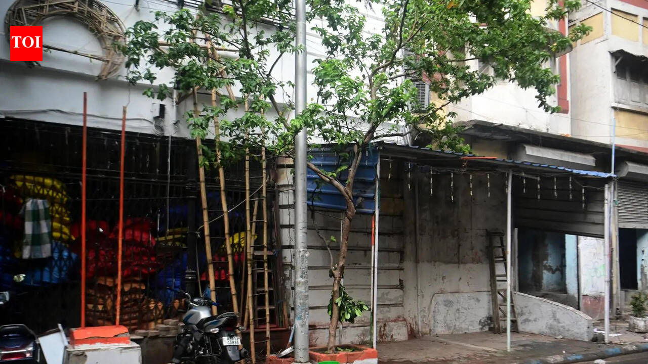 After over a decade, Cong reclaims Zakaria St party office, loses part of it in 24 hours