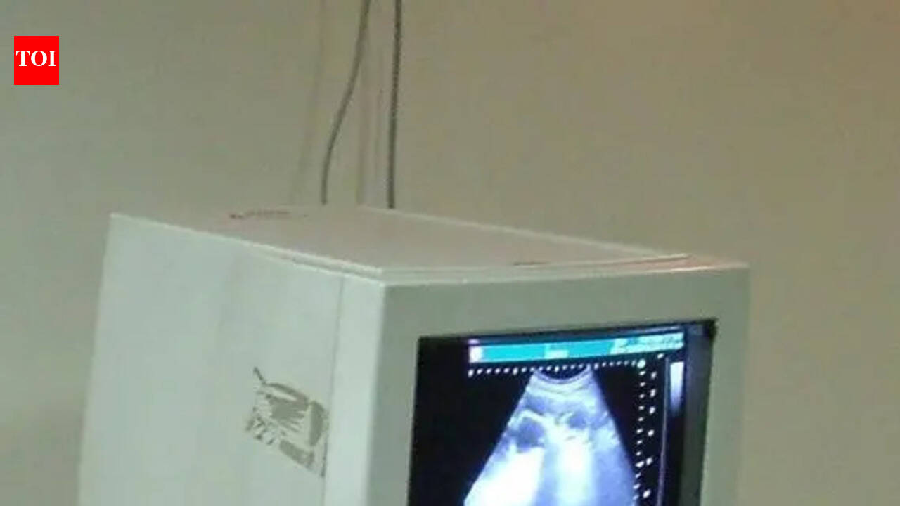 Ban apps aiding in detection of sex of fetus: Civil surgeon writes to state govt