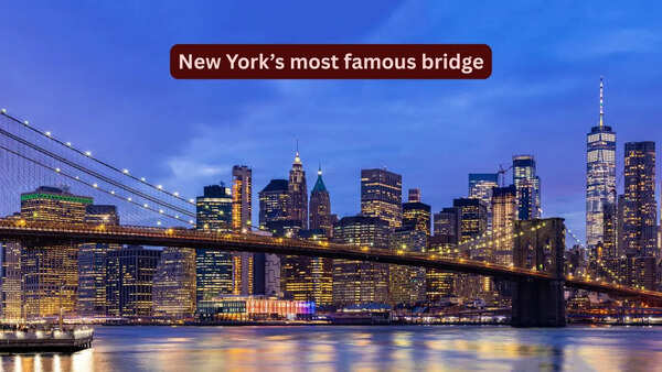 This bridge in New York once hosted 21 elephants; 5 interesting things to know