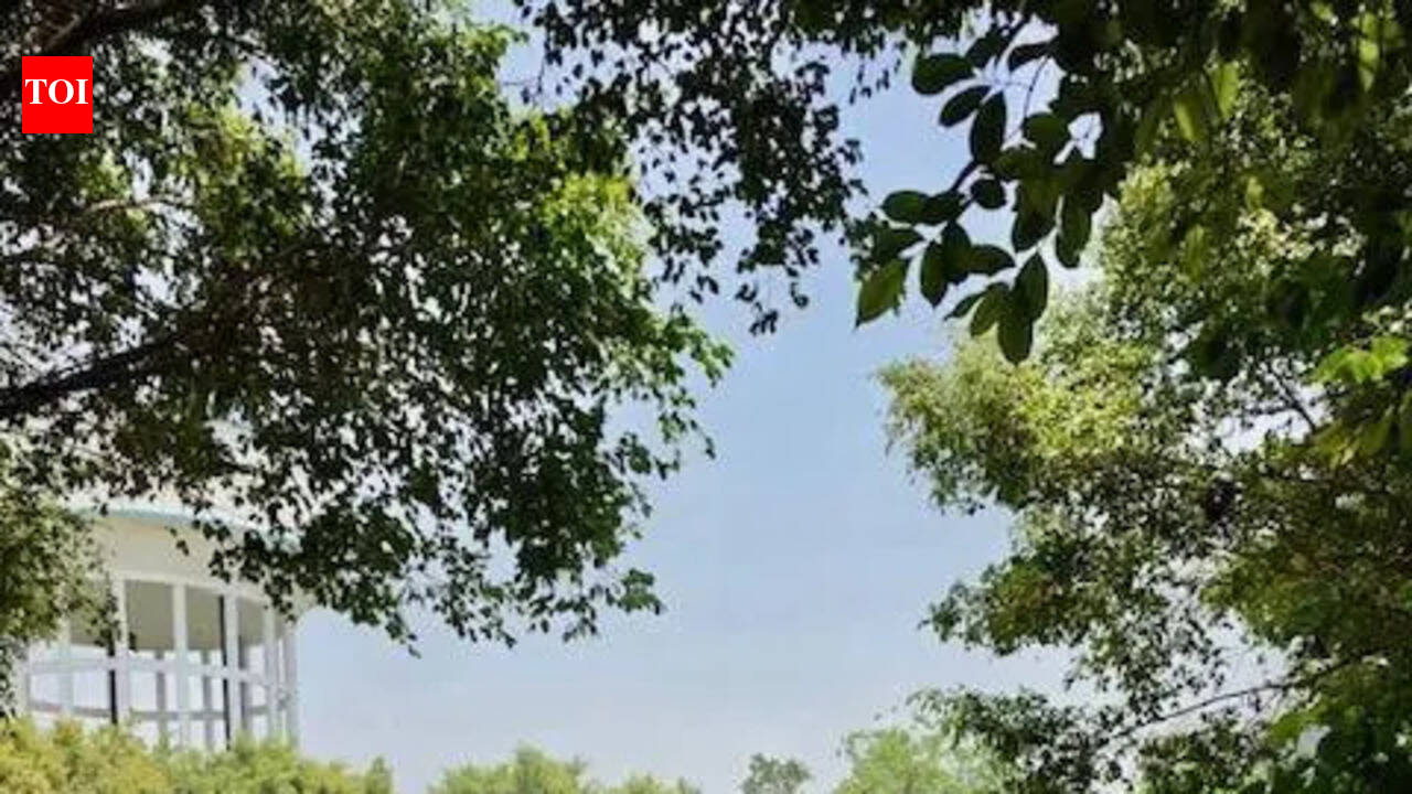 Amid heat &amp; outages, water, too, trickles from taps in Noida sectors
