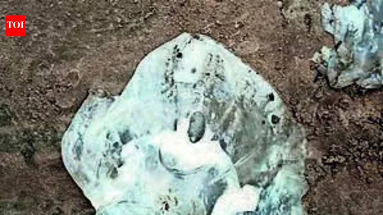Jellyfish cause allergies to tourists at Nagore Beach