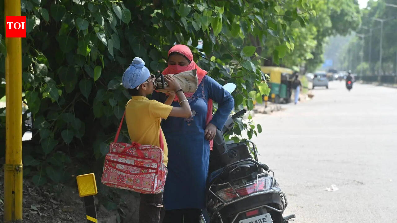 Temp hits 42°C; rain relief ahead, says IMD