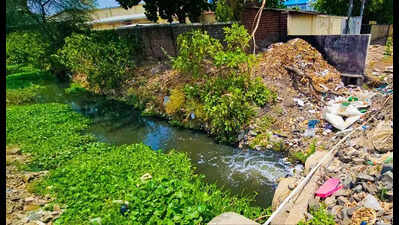 Rs105-Crore Wadi STP Nears Finish, But Will Ambazari Lake Still Receive Sewage?