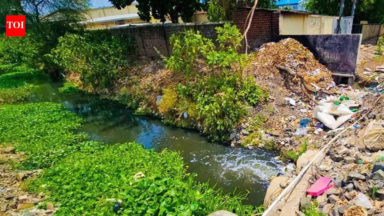 Rs105-Crore Wadi STP Nears Finish, But Will Ambazari Lake Still Receive Sewage?
