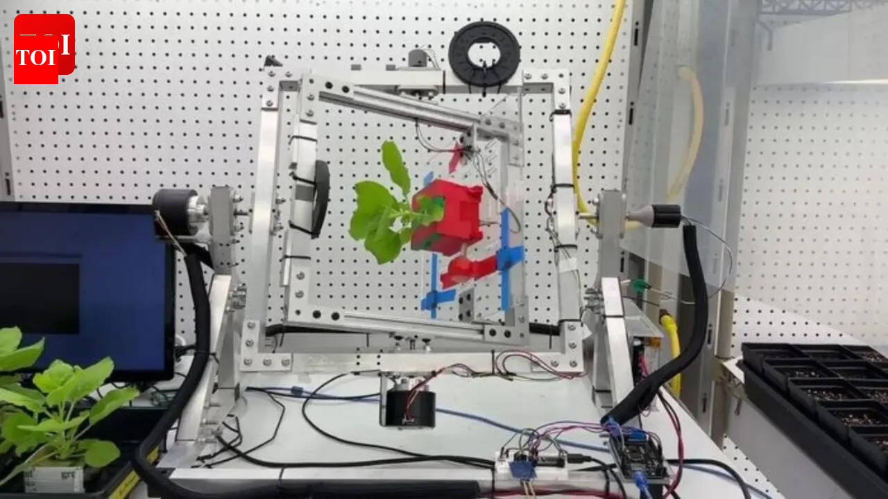 Pharmacies in space? Scientists discover a way to grow medicines in space using plants