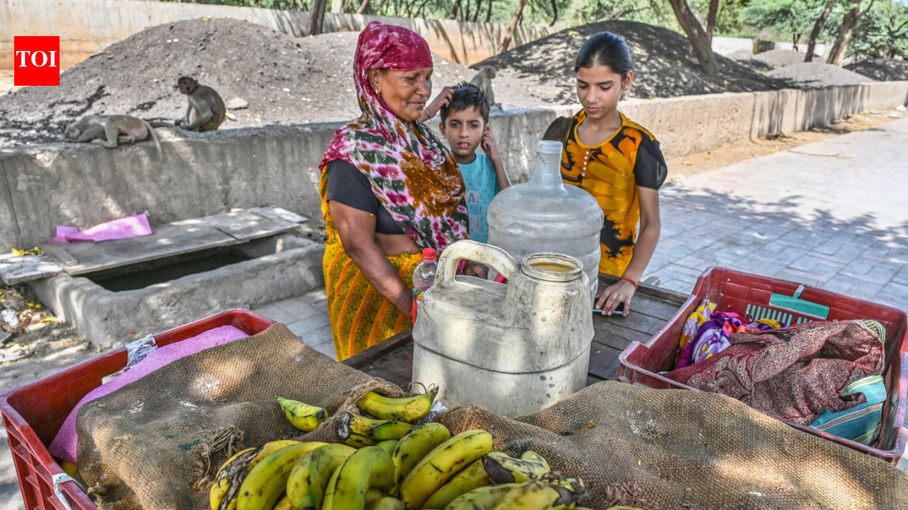 65-year-old woman seeks water facility for monkeys in Delhi's MB Road