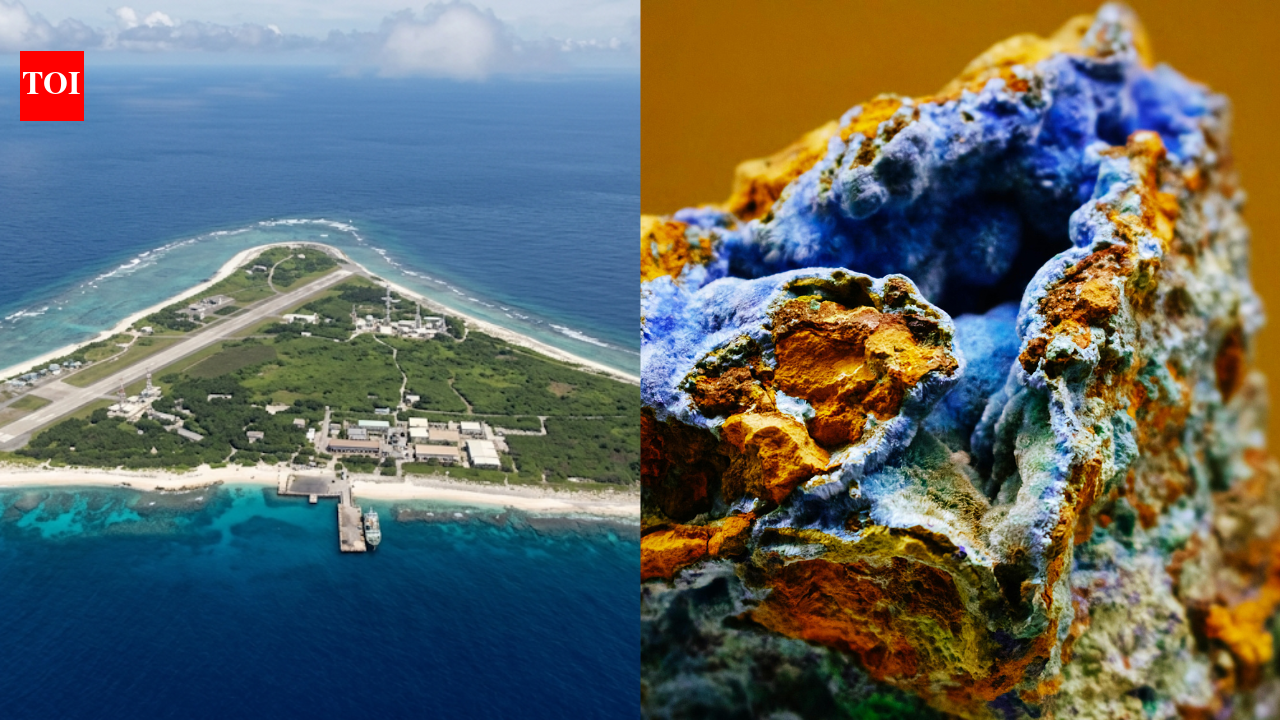 Japan's remote Pacific island could be home to one of the world's biggest rare earth jackpots