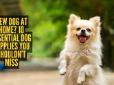 New dog at home? 10 essential dog supplies you shouldn&rsquo;t miss