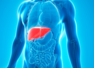 Fatty Liver cases are rising: Can weight loss, healthy eating, and simple lifestyle changes reverse the damage?