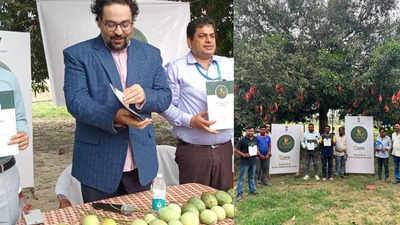 'Aamar Malda': Malda district plans mega mango tourism circuit to put region on global map