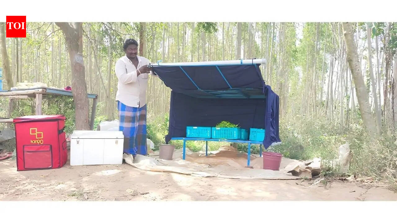 From farm to fork: Rethinking India’s cold chain
