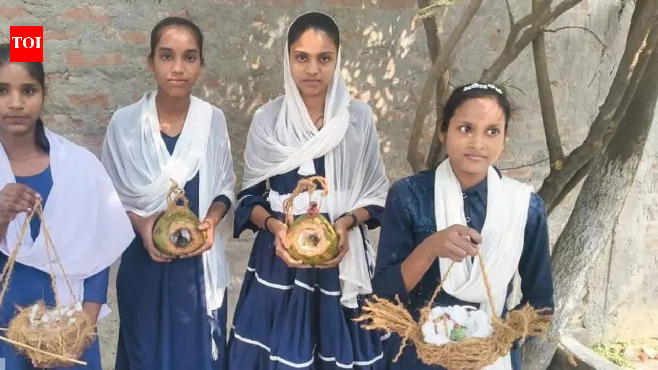 W Champaran govt school students turn waste coconut shells into birds’ habitats