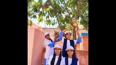 W Champaran govt school students turn waste coconut shells into birds’ habitats