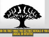 Optical illusion personality test: Faces or the tree? What you see first reveals if you are logical or intuitive