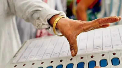 UP panchayat poll roll revised; 29L voters added after major verification drive