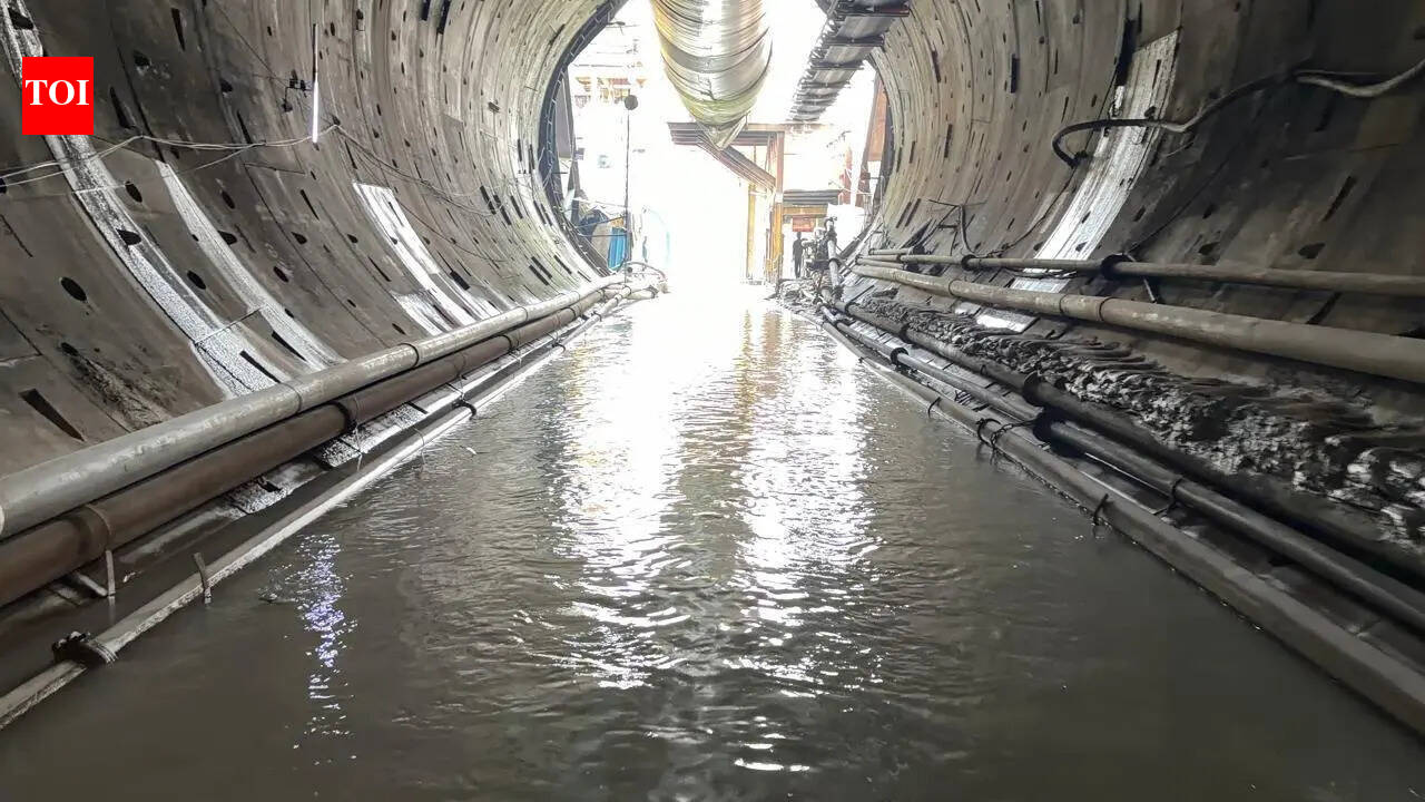 Mountain vs machine: After 17 yrs, India’s longest tunnel ready in MP’s Katni