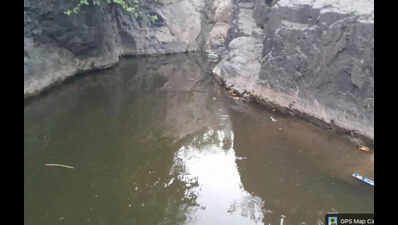 Three boys from the same family drown in pond next to Narmada river in Nandurbar
