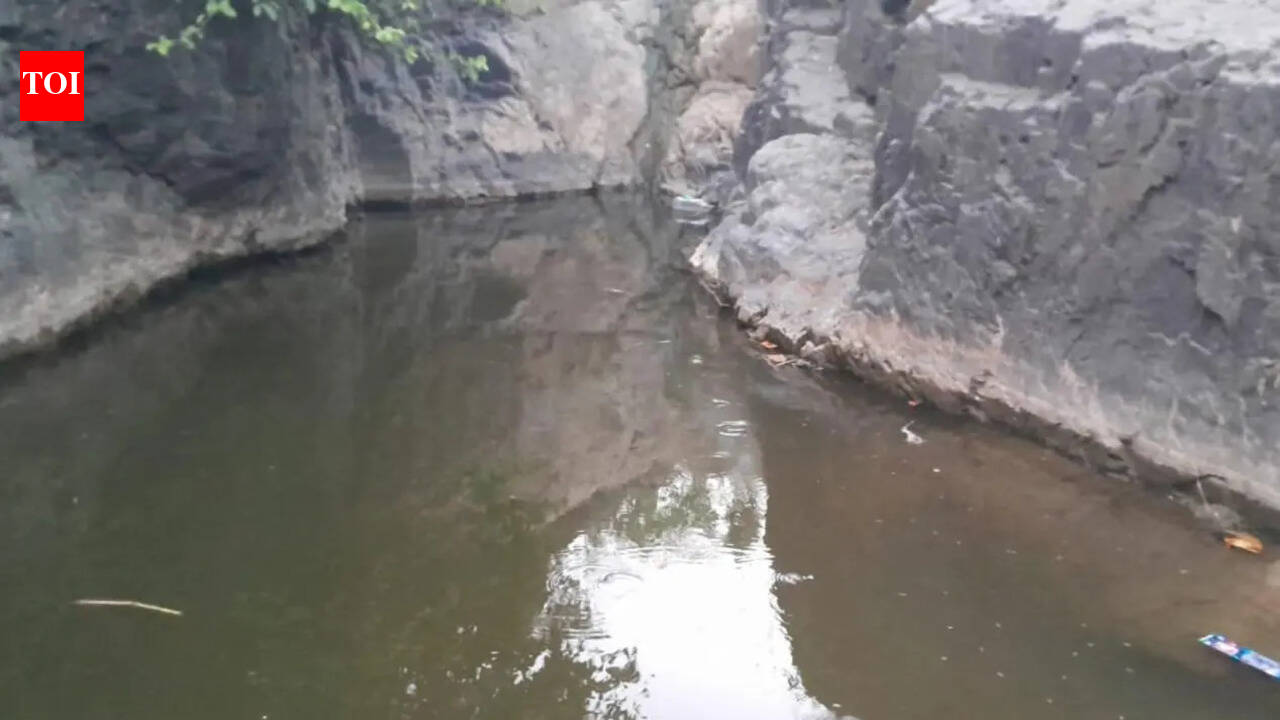 Three boys from the same family drown in pond next to Narmada river in Nandurbar