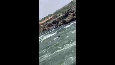 Haryana man swept away by currents at Sahastradhara