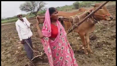 Woman takes dead bull’s place to plough field in Latur village; CM intervenes & ensures relief after opposition outcry