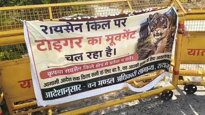 Tiger camps on Raisen Fort hill for 15 days, tourist access restricted