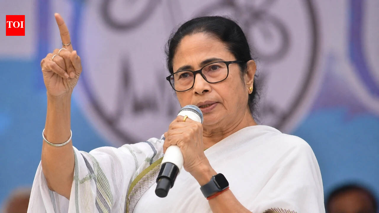 No proposal or discussion to merge with Congress: TMC