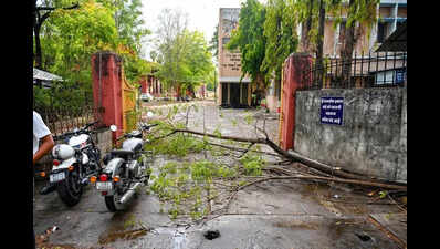 Trees Uprooted In Storm, Car and Huts Damaged