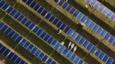 India has potential to develop about 102 gigawatt-peak (GWp) of floating solar energy: Government