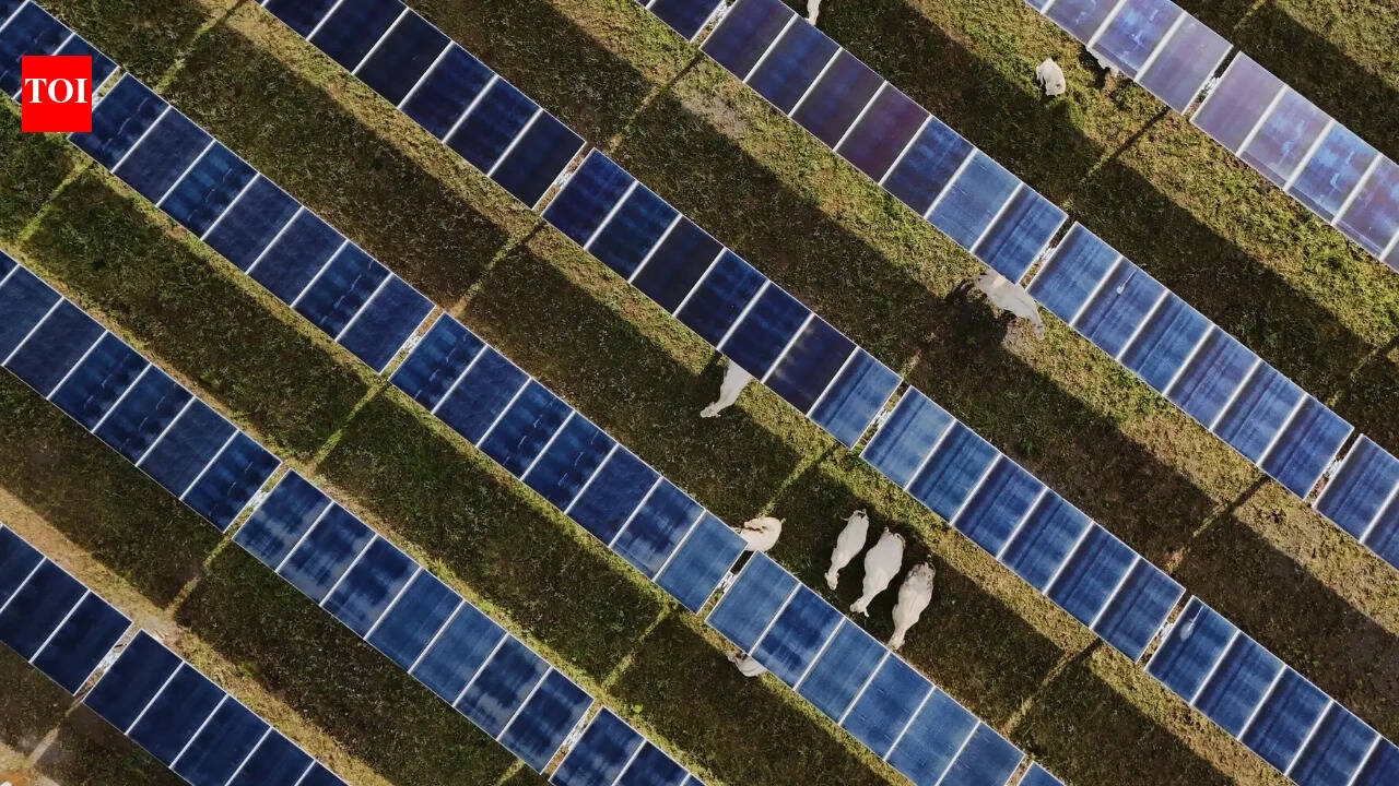 India has potential to develop about 102 gigawatt-peak of floating solar energy says govt