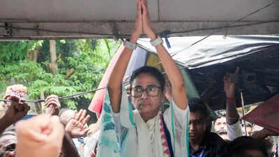TMC may be headed NCP, Sena way, rebels claim support of 19 of 28 MPs