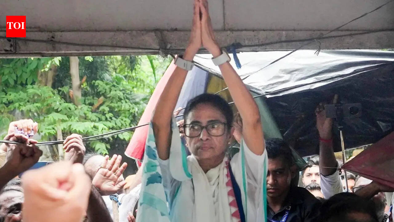 TMC may be headed NCP, Sena way, rebels claim support of 19 of 28 MPs