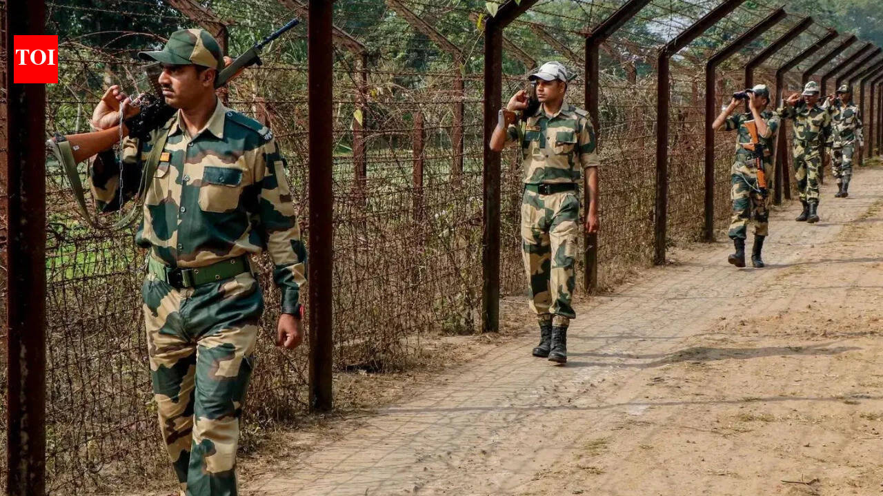 Borders to get anti-drone walls to curb arms & drugs smuggling