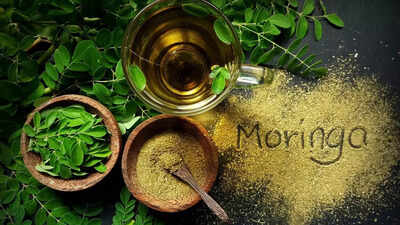 Dharmapuri farmers drum up profits with moringa