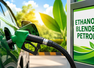 India slashes excise duty on ethanol-blended petrol: Key details