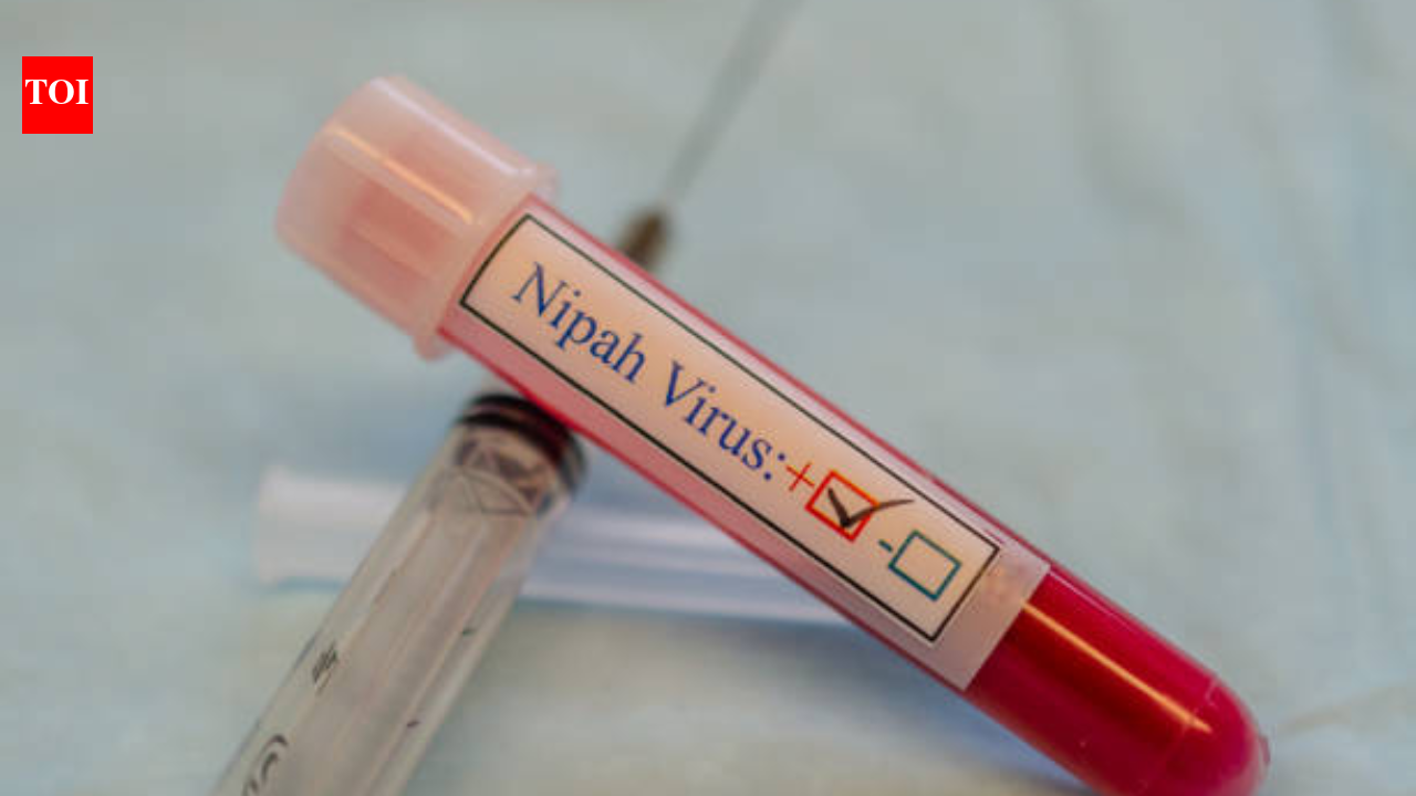 Nipah alert in Kerala: Kozhikode man's preliminary test comes back positive