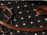 Real-life snakes on a plane terrorizes UK flight: A snake on the loose inside a grounded Boeing Jet from Mexico
