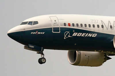 Real-life snakes on a plane terrorizes UK flight: A snake on the loose inside a grounded Boeing Jet from Mexico