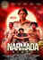 The Narmada Story