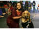 I felt wonderful walking the ramp with the pets: Ekta Jain