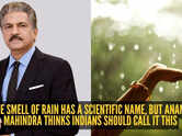 Anand Mahindra says 'Petrichor' isn't enough; his desi name for the smell of rain is going viral
